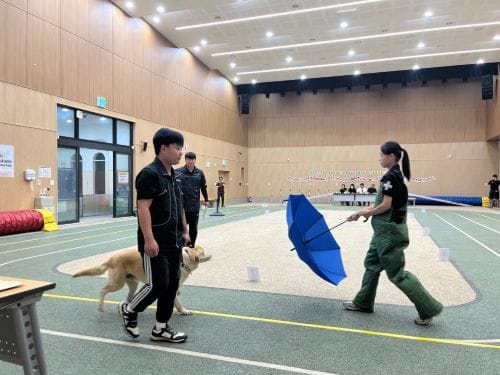 맹견 사육허가제 관련 기질평가… 개물림 등 인명피해 예방 목적