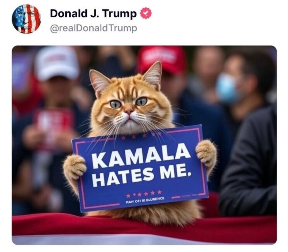 A cat said "KAMALA HATES ME"