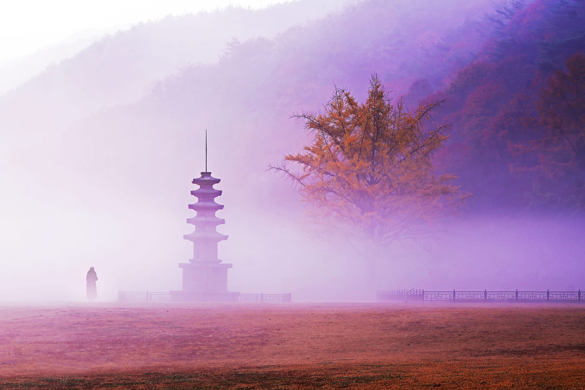 내포문화숲길 사진 공모 수상작 전시