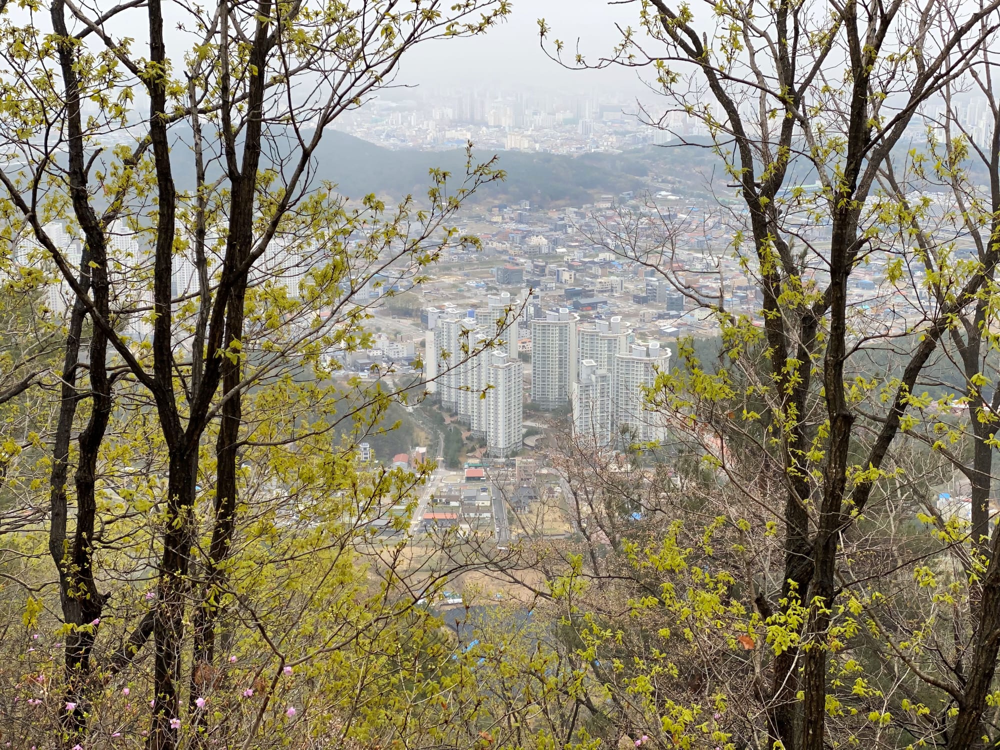 가을철 산불 철벽 방어한다