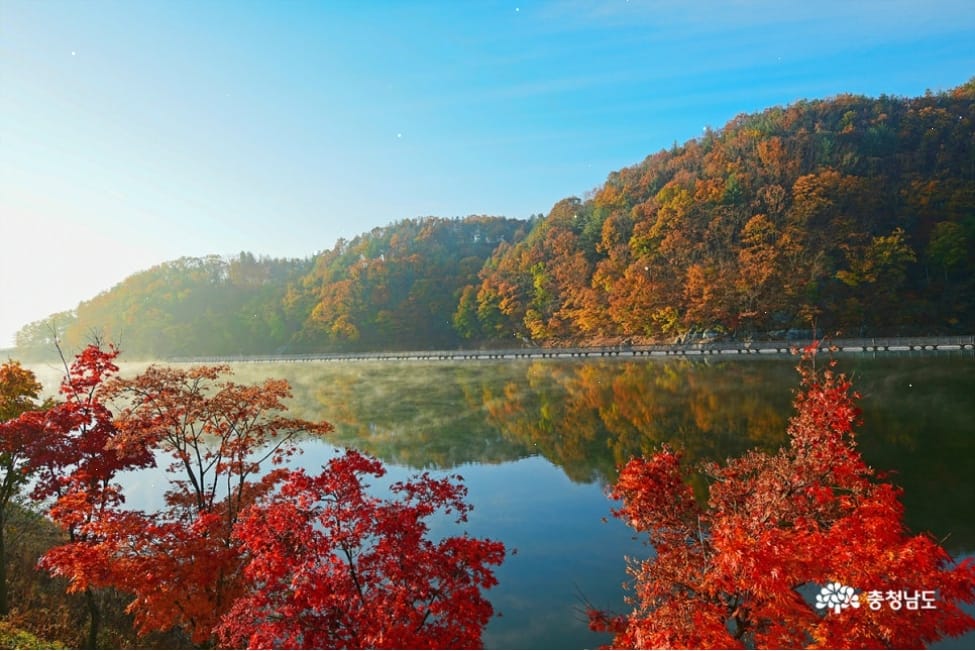 가을 끝자락 단풍 물든 충남 숲길로 초대합니다!