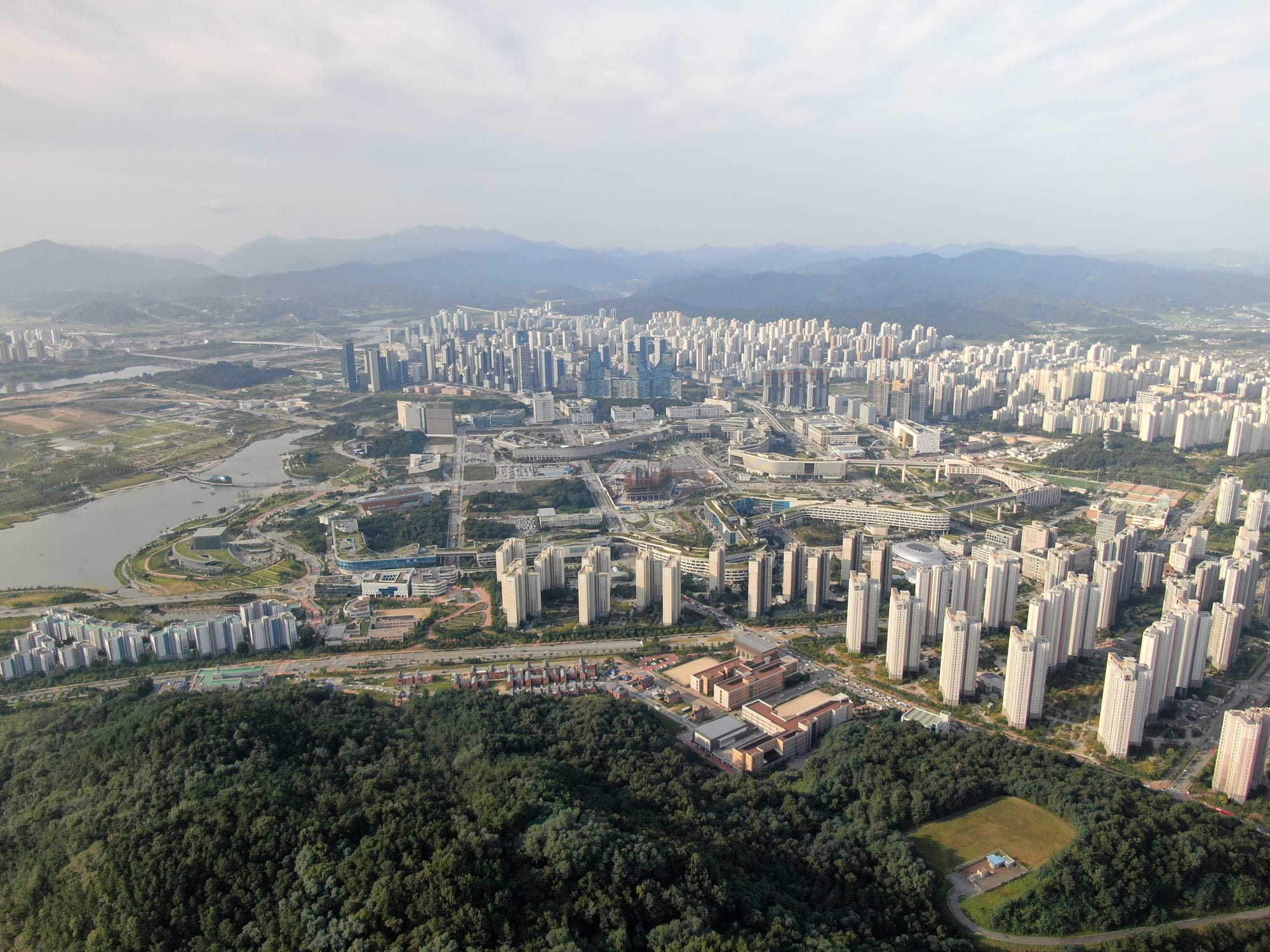 이·통장 연임제도 개선 설문조사