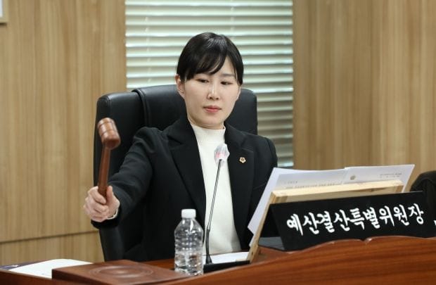 세종시의회 예산결산특별위원회, 2025년도 예산안 재심사 의결