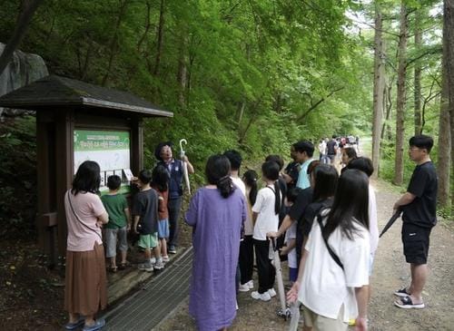 '여름방학맞이 숲속애(愛) 가족 힐링캠프'