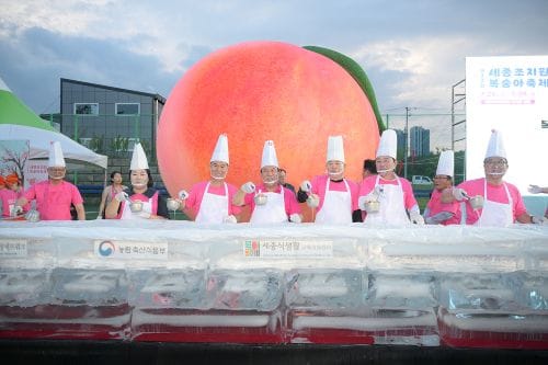 116년 전통의 조치원복숭아 축제, 지역 활성화 연계 가능성-잠재력 보여