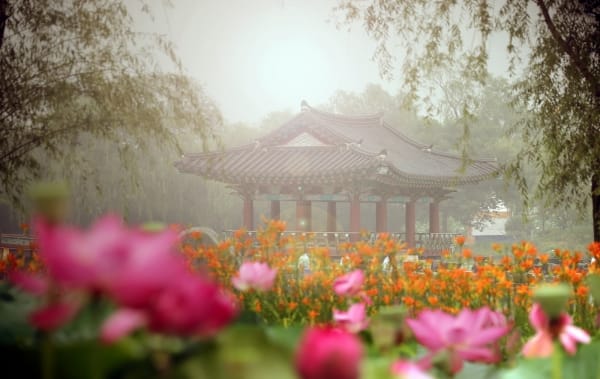 부여 부소산성과 궁남지, 2025~2026 한국관광 100선 선정